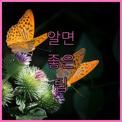 개인회생 A to Z 복잡한 절차 쉽