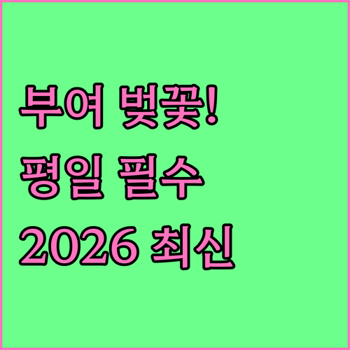 2026 부여 벚꽃 개화 예상과 평일..