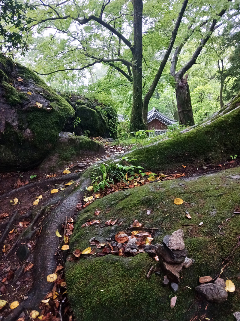 경남 쌍계사 템플스테이 신청 방법