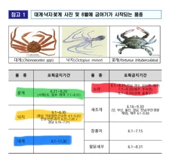 6월 낙지 금어기 정확한 시작일과 끝나는 날 지역별 상세 기준 정리_5