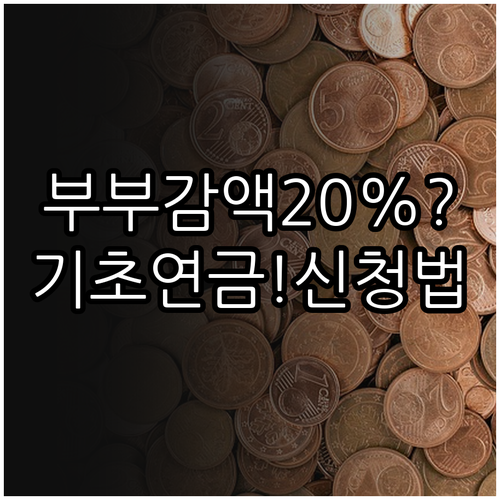기초연금 부부 감액 20% 적용 기준..