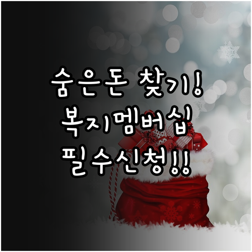 숨은 복지 혜택 먼저 알려주는 복지멤..