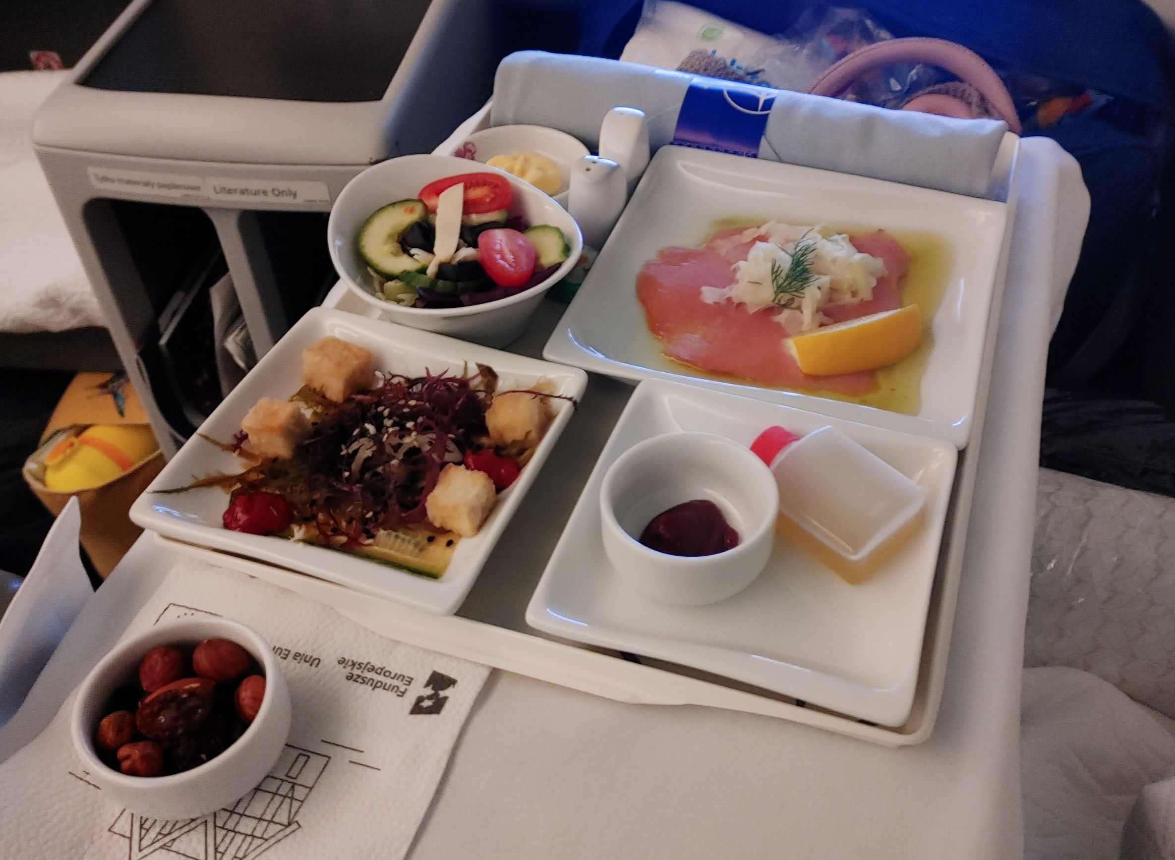 폴란드항공 비즈니스