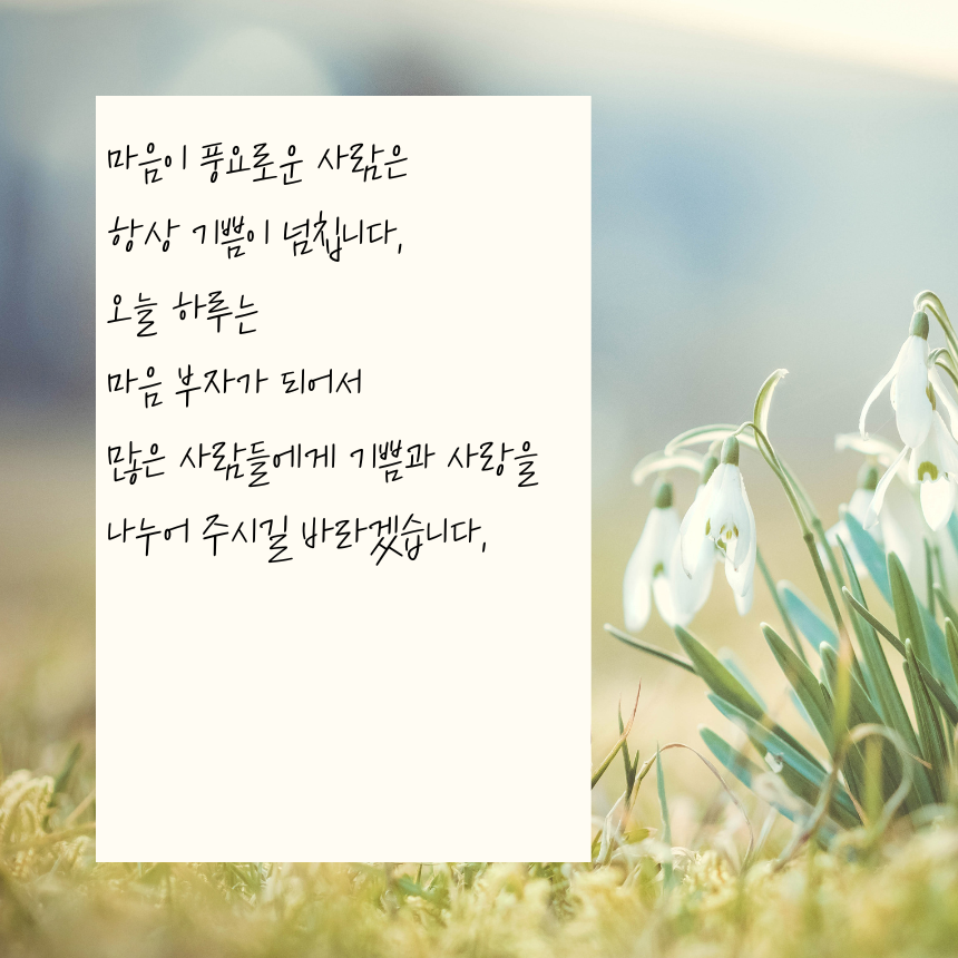 아침 인사로 좋은 글귀 이미지 문구 모음