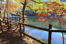 계룡산 단풍명소