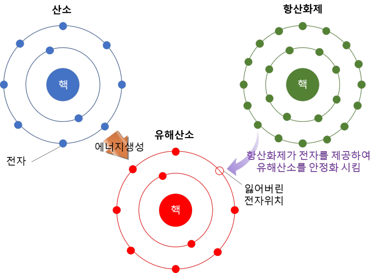 산소, 유해산소, 항산화제