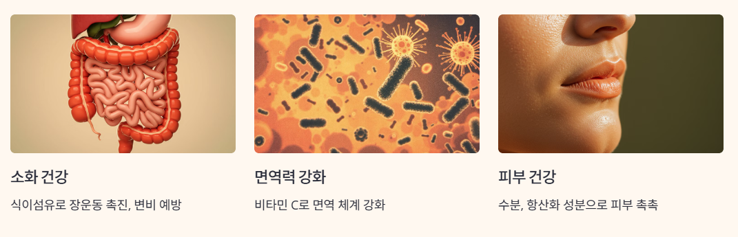 소화 건강, 면역력 강화, 피부 건강에 좋은 이유