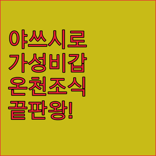 야쓰시로 가성비 숙소 추천 리스트 온..