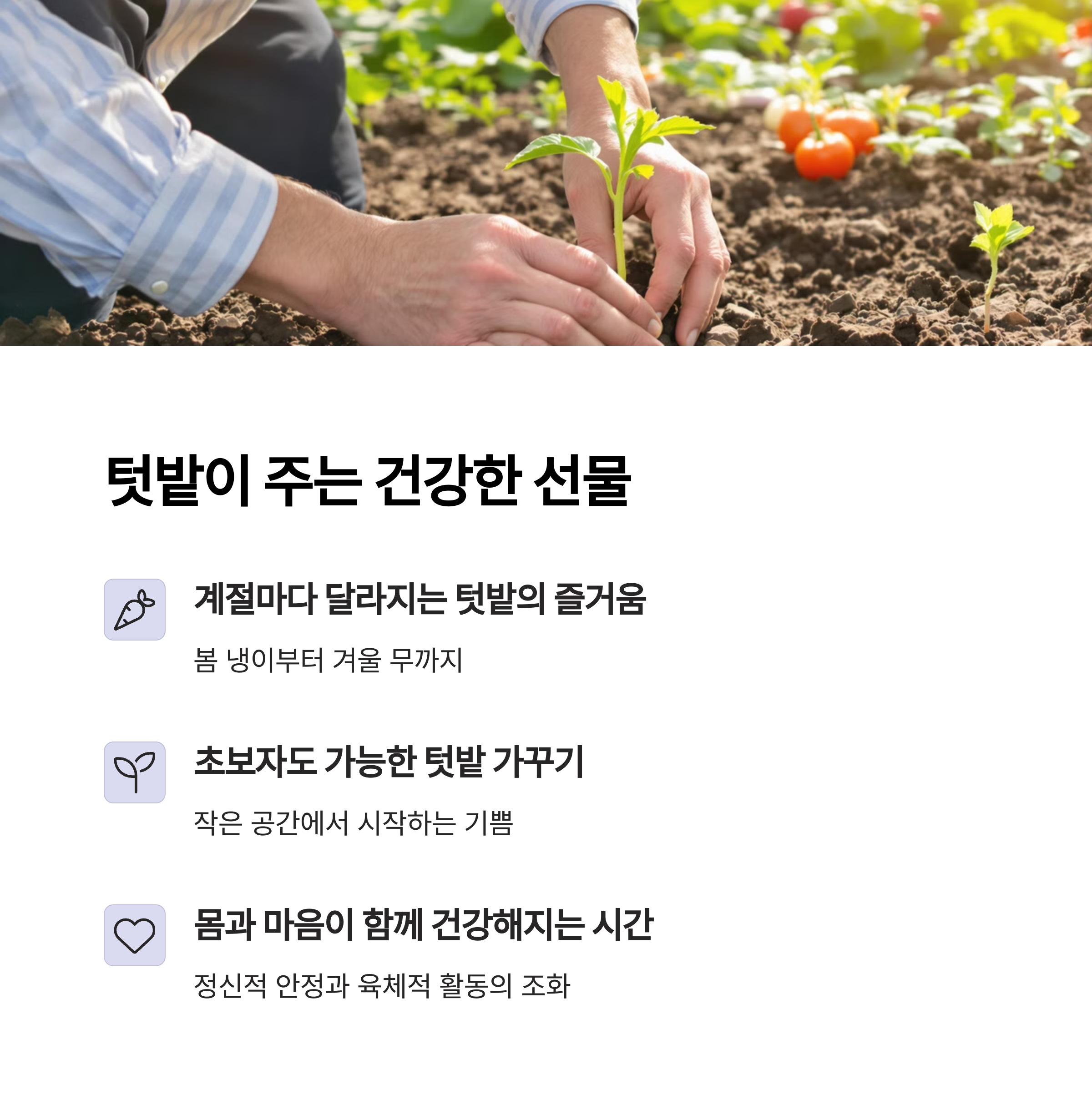 괴산 토박이가 전하는 실버세대 자연식 건강법 - 도시를 떠나 찾은 100세 건강의 비밀