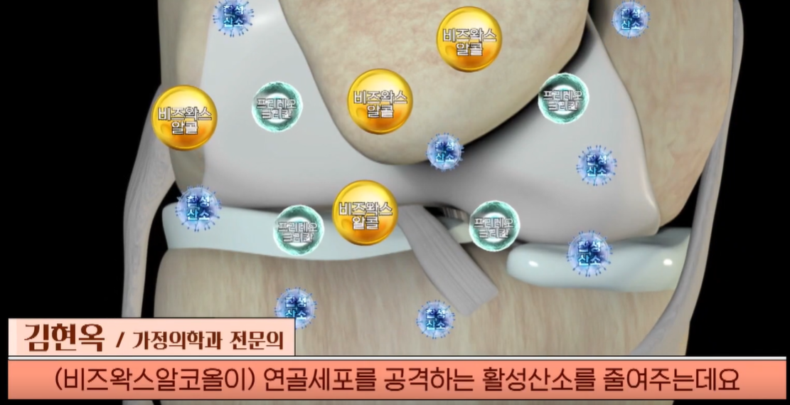 비즈왁스알코올