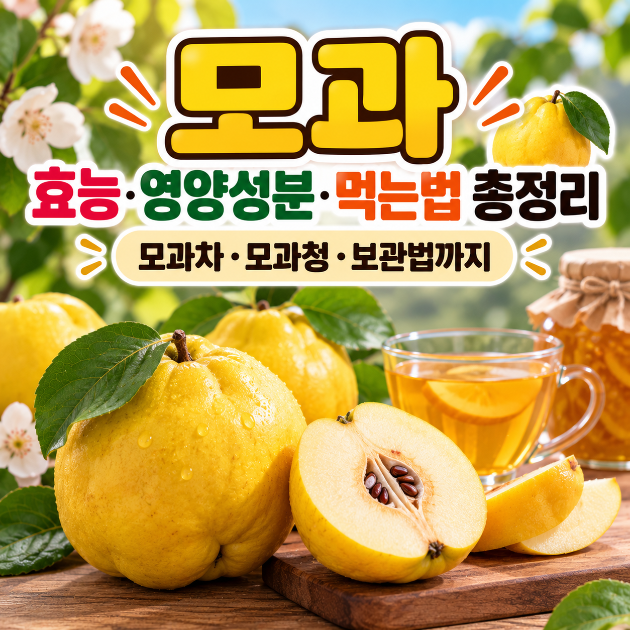 모과 효능