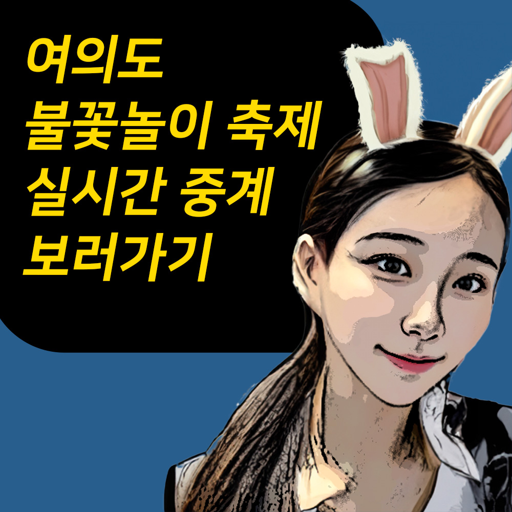 여의도 불꽃놀이 축제 실시간 중계 보러가기