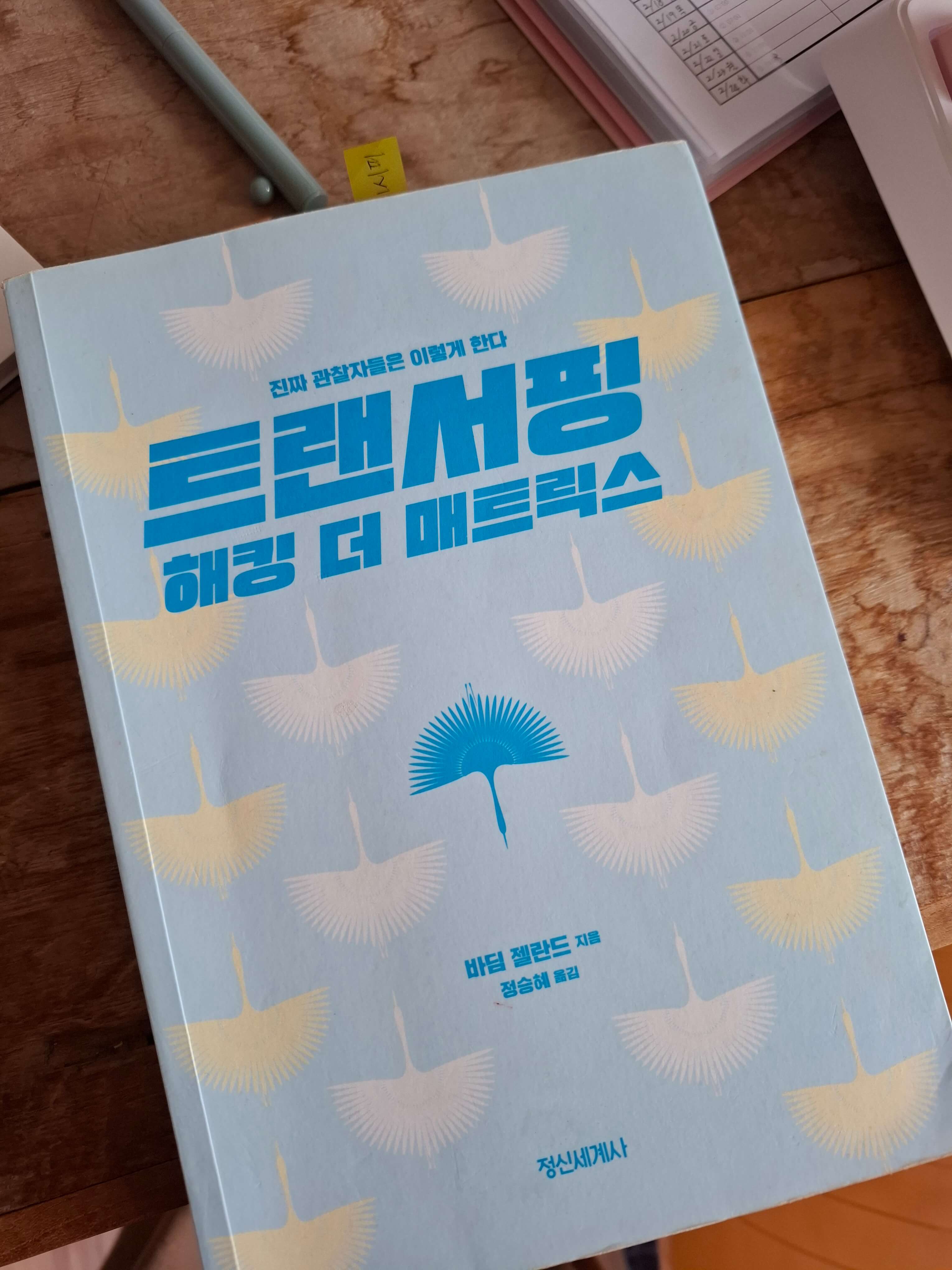 트랜서핑 현실지배와 선택의 기술