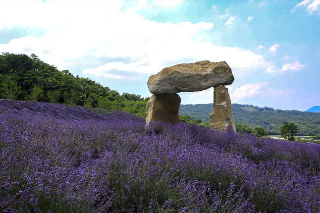 정읍 생활비 + 주거비 절약 전략 — “과하게 아끼지 않아도 줄어드는 구조”