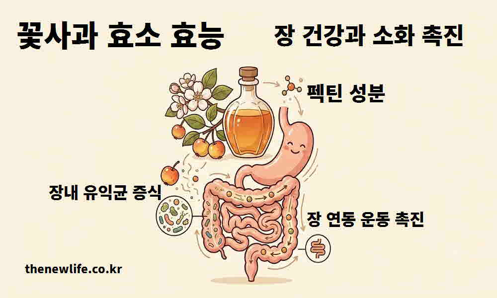 꽃사과 효소 효능 장 건강 소화 촉진