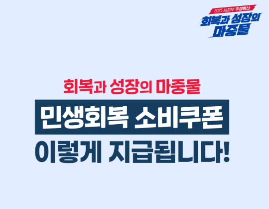 민생회복 소비쿠폰