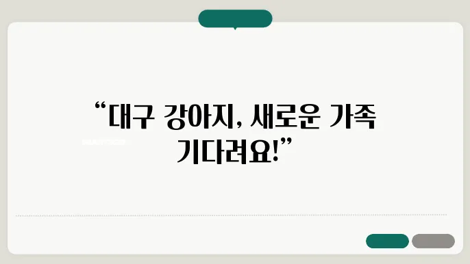 대구강아지보호소 관리 현황