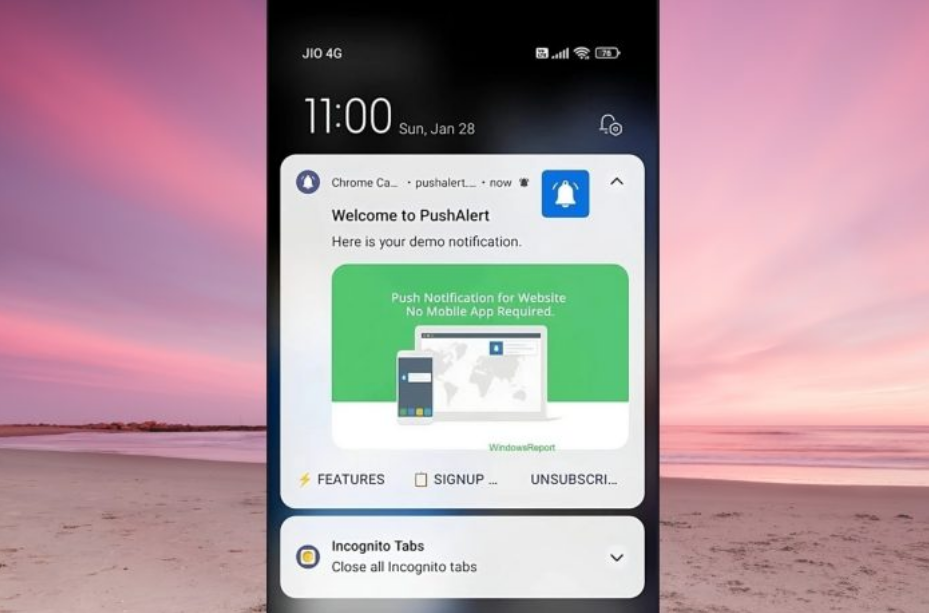 Android용 Chrome에서 불필요한 웹사이트 구독을 한 번의 탭으로 쉽게 해지할 수 있는 새로운 기능(이미지출처-windowsreport)