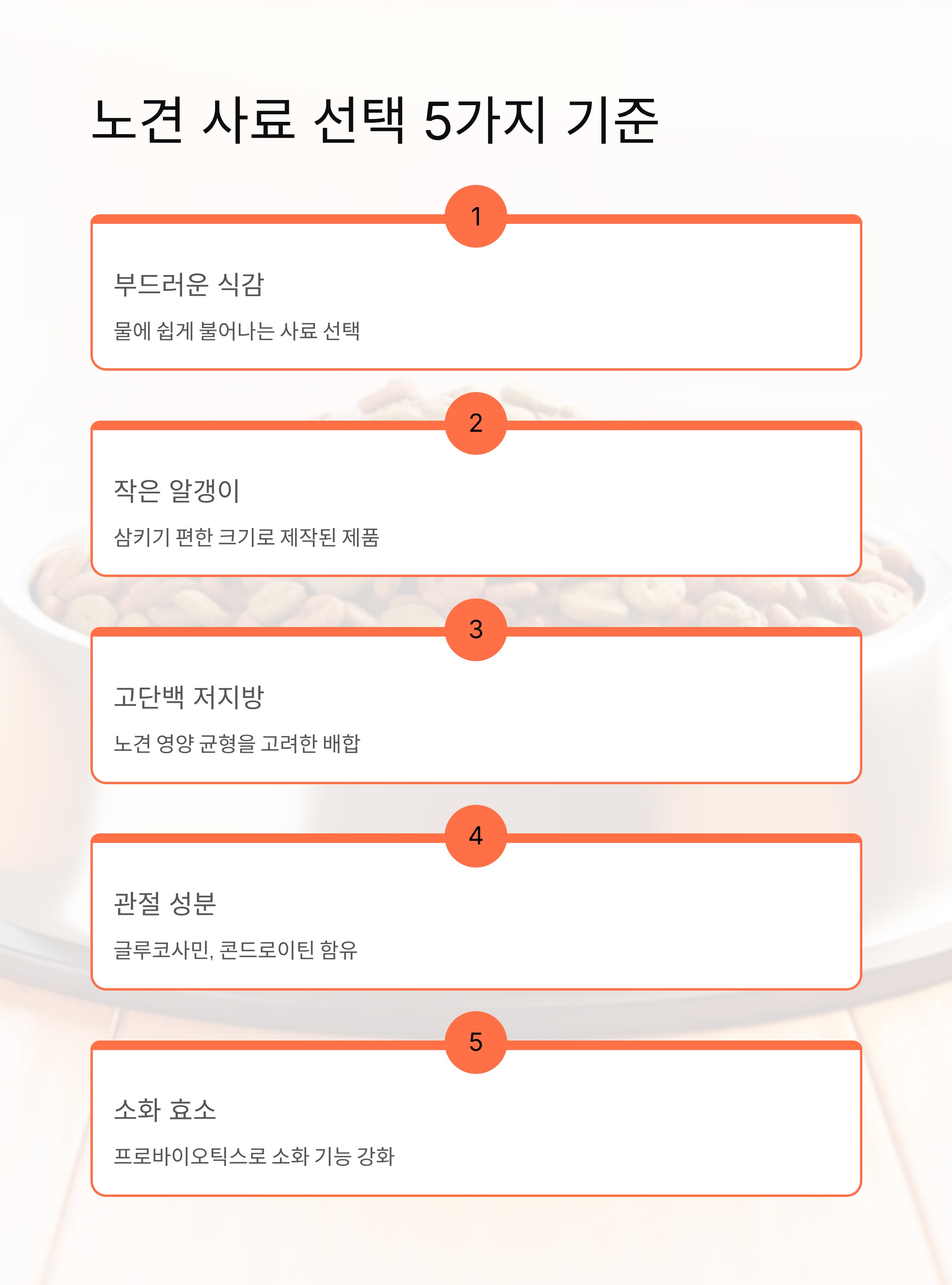 이빨없는 강아지 밥먹이기 - 노견 사료와 유동식 완벽 가이드! 🐶