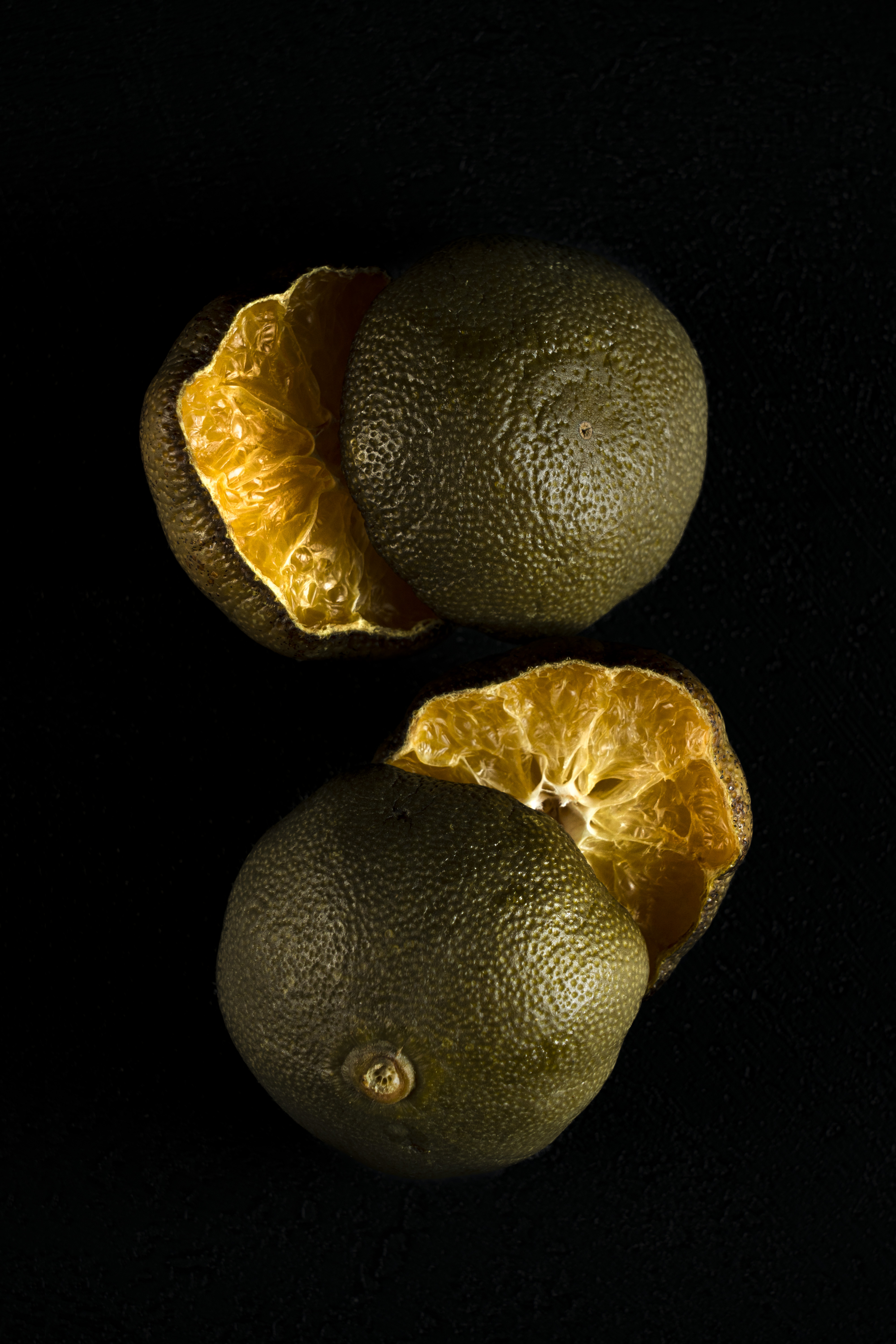 말린 라임 정물 사진