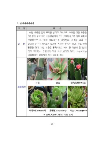 농사 병해충 예방법 진딧물 응애 노균병 탄저병 대처_14