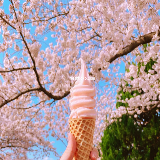 4월 국내여행지 베스트10