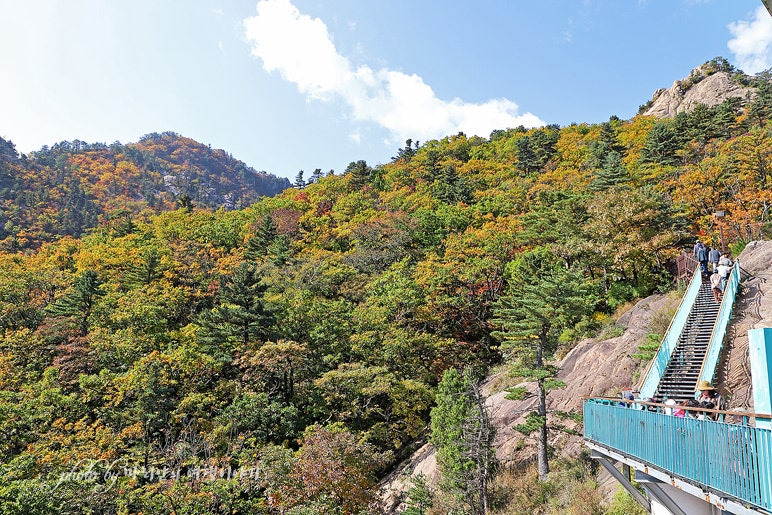 강원 경상도 단풍
