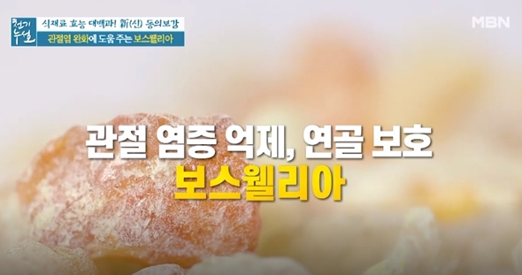 tv에서 보스웰리아 다룬 사진