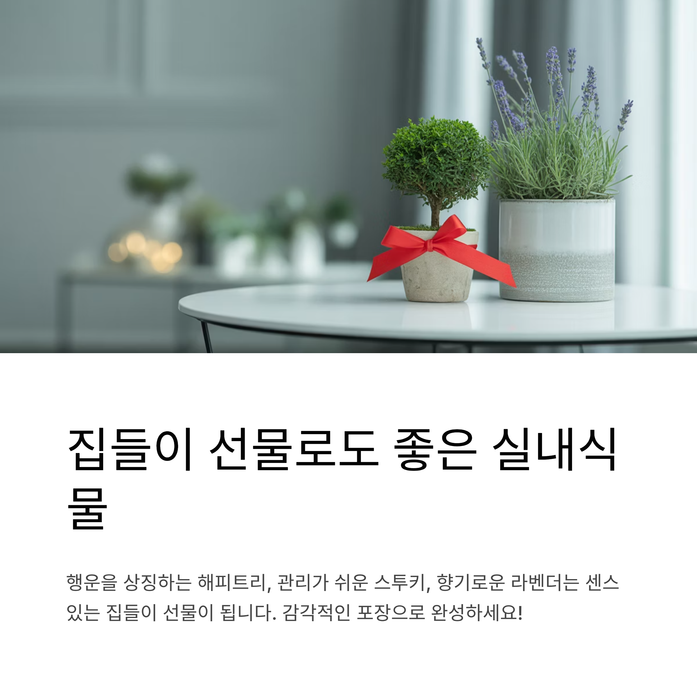 집들이 선물로도 좋은 식물