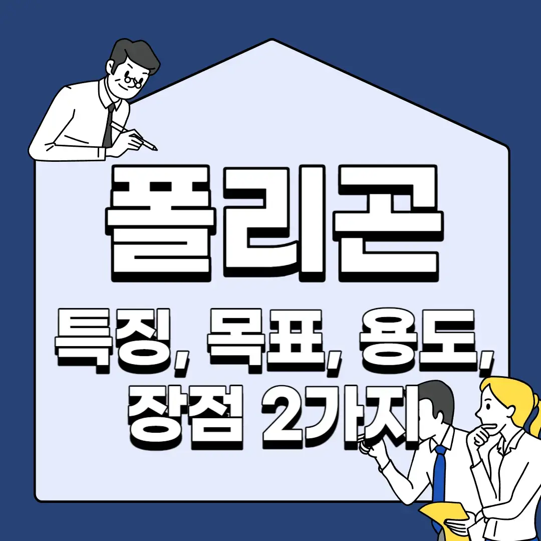 폴리곤-특징-목표-용도-장점-2가지