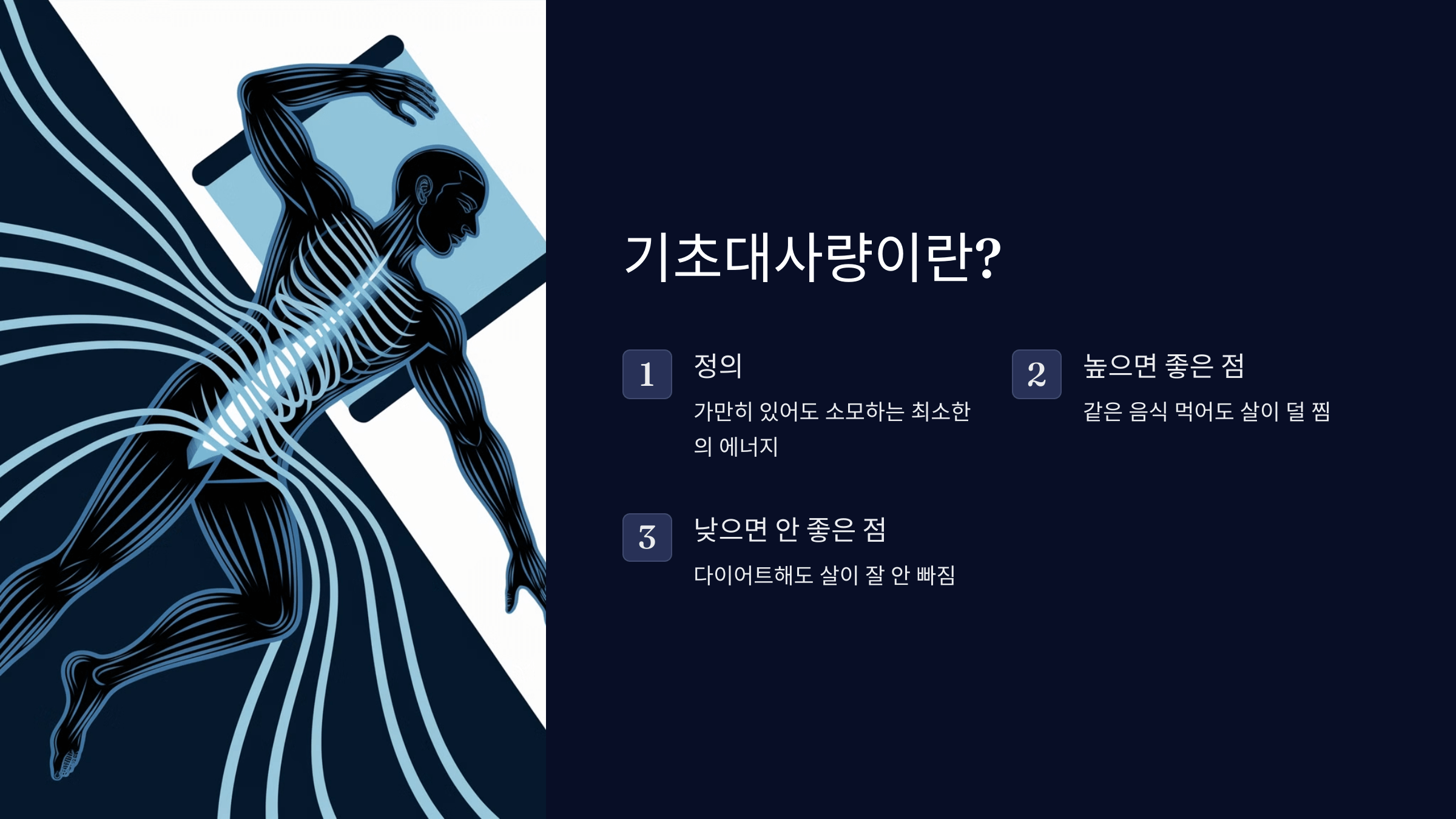 다이어트 핵심: 기초대사량을 높여라