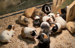 하남 미사 놀거리 BEST 10