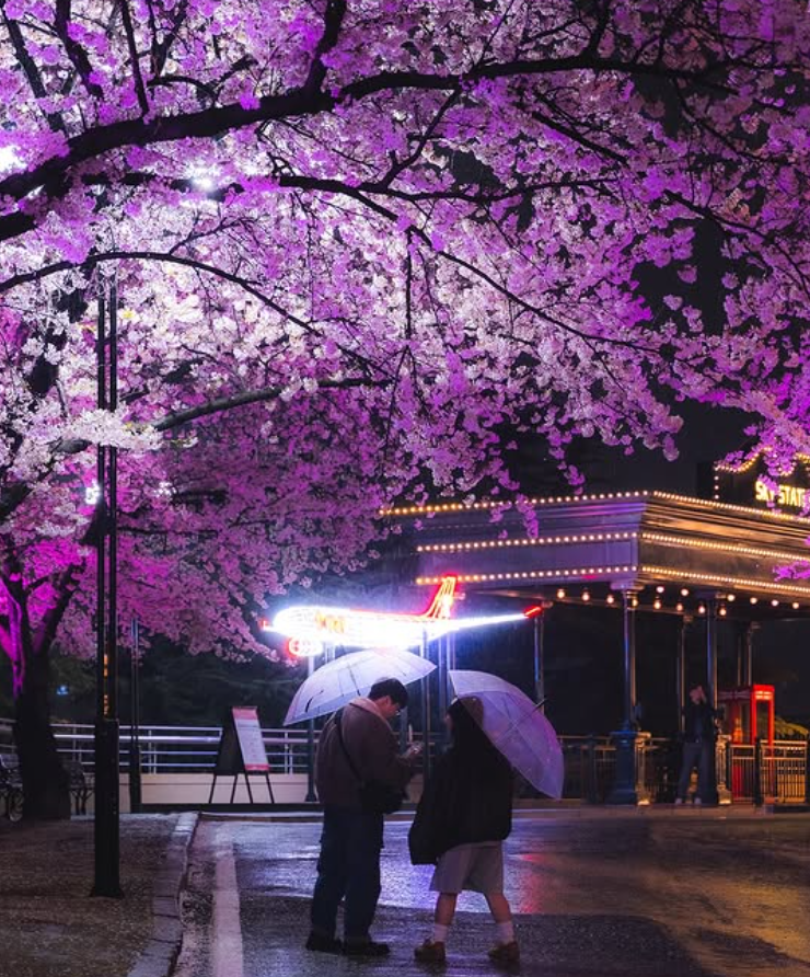 대구 이월드 자유이용권 할인