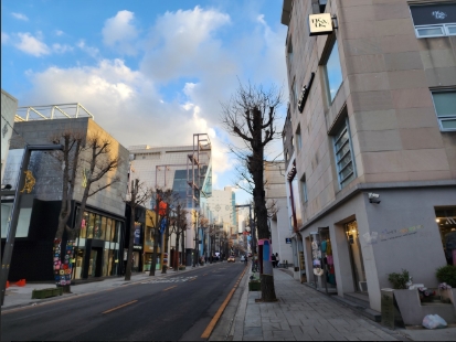 강남촬영지 가로수길