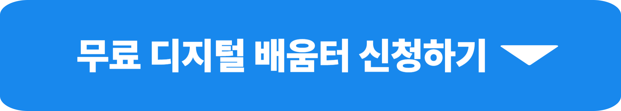 디지털배움터