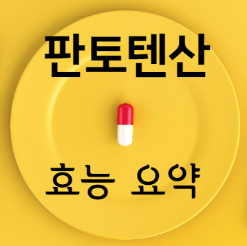 판토텐산 효능 요약