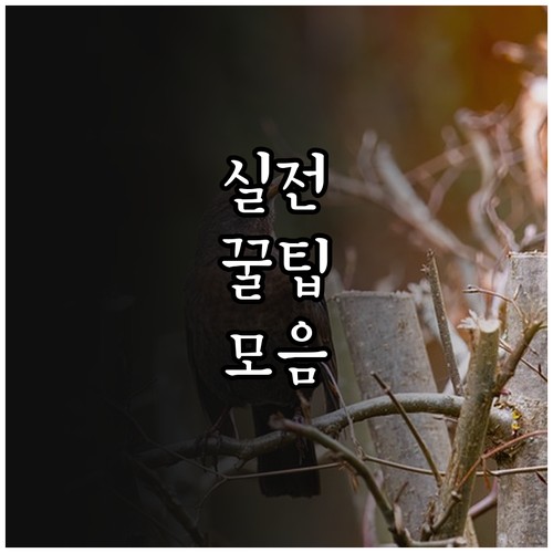 2025 포천시 국가유공자 보훈수당 ..