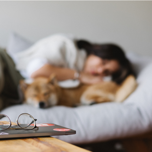 수면의 중요성과 인지 기능 회복&#44; 호르몬 균형