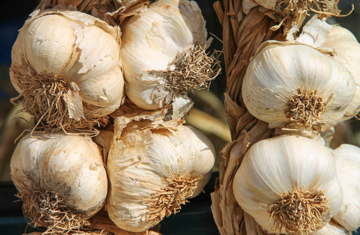 면역력에 도움되는 음식 관련 사진