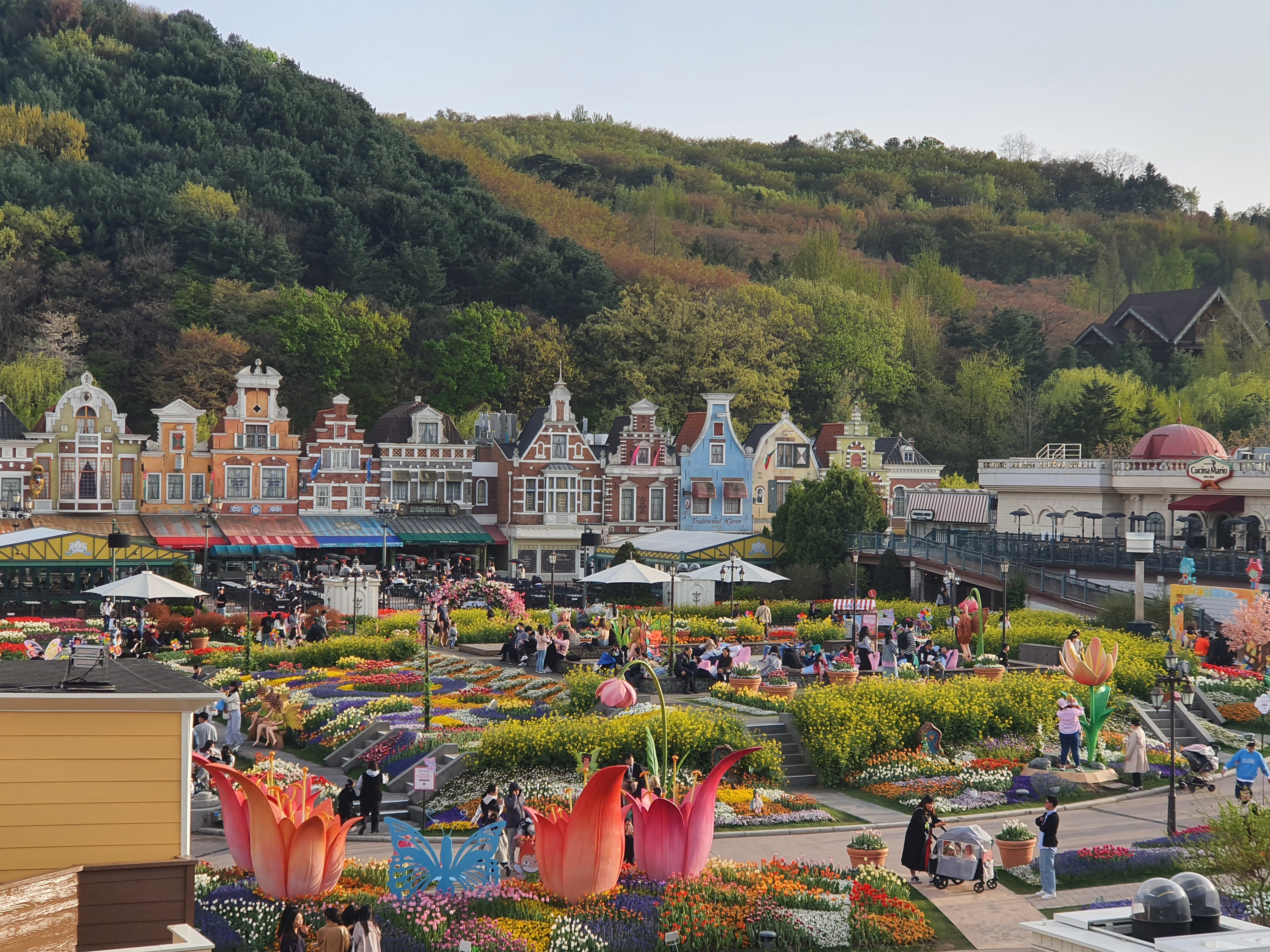 용인에버랜드이미지