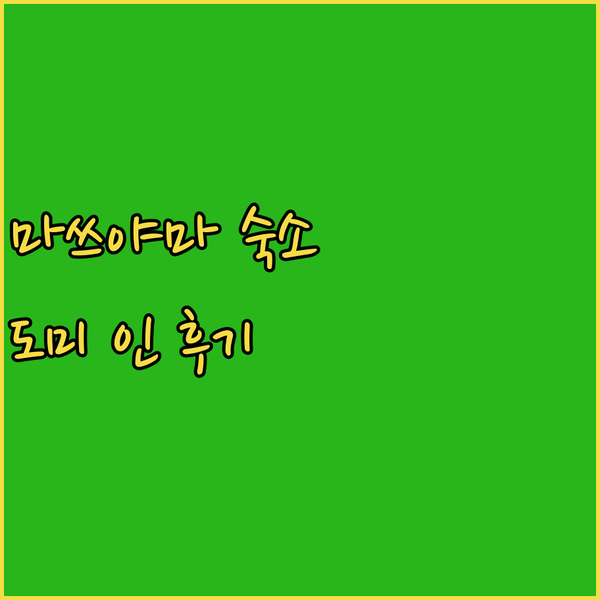 마쓰야마 여행객 필독! 도미 인 마쓰..