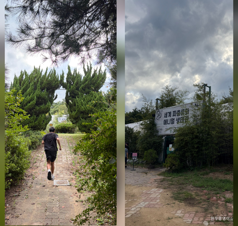 동물의 정원으로 가는 숲과 입구 모습