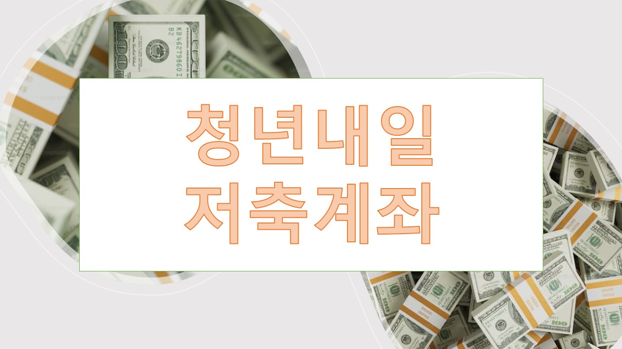 청년내일저축계좌 청년도약계좌 비교분석