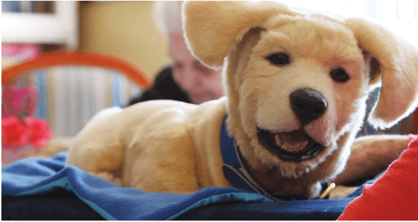 AI 로봇 "제니"강아지