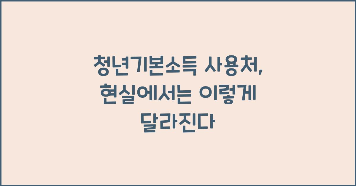 청년기본소득 사용처