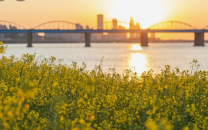 서울 5월 축제 일정