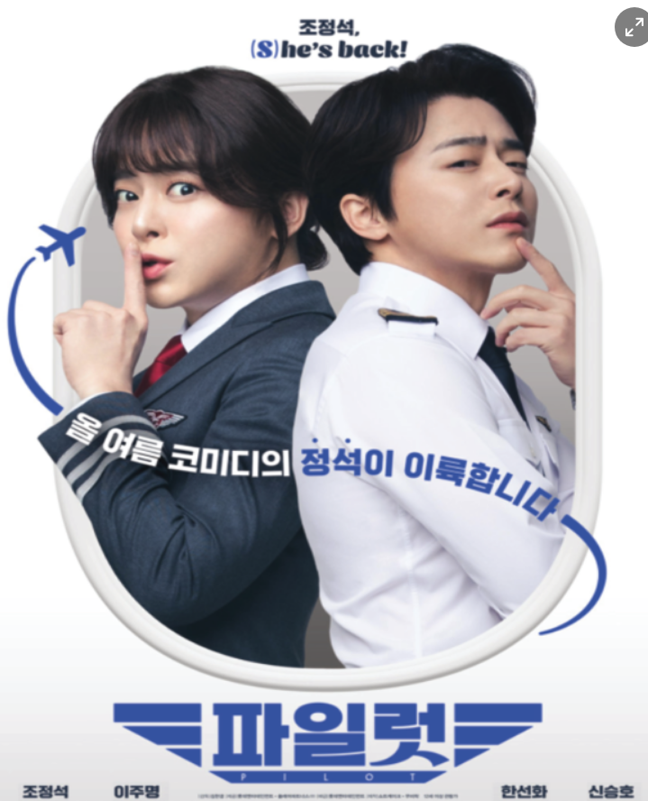 파일럿 포스터 사진