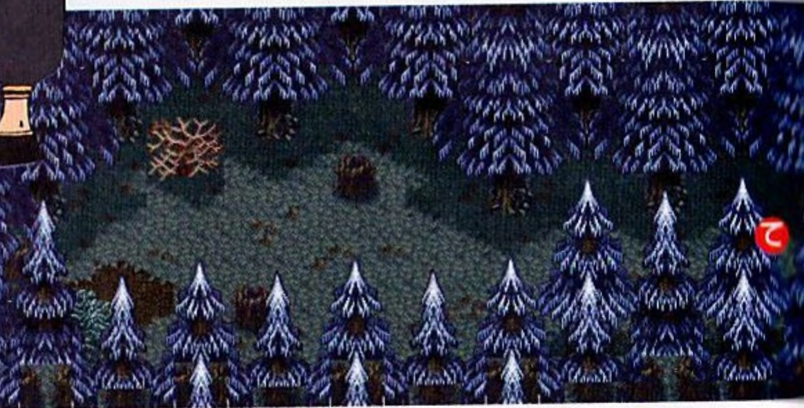 노르페스터 - 14