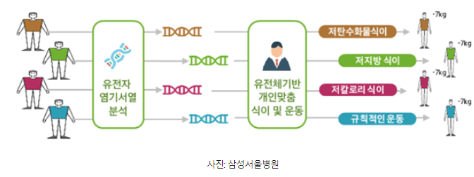유전자 맞춤 다이어트