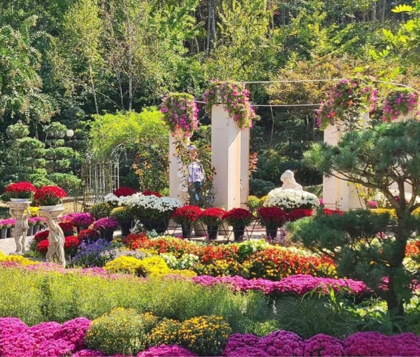 가을 꽃 축제 일정과 지역